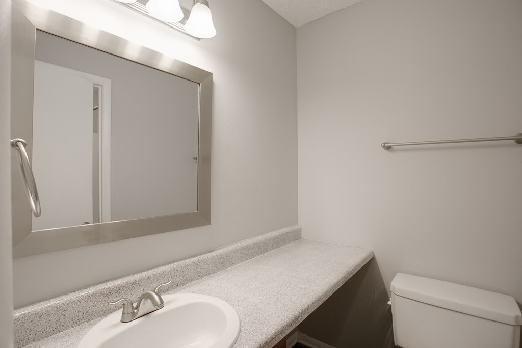 a bathroom with a sink and a toilet