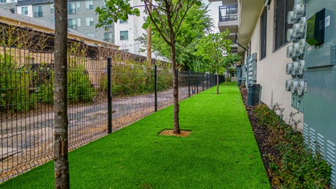 a grassy area with trees and a fence on the side of a building