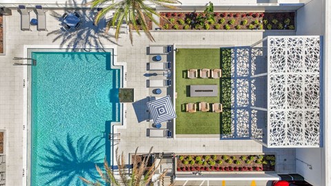 an aerial view of a pool and a backyard with a palm tree