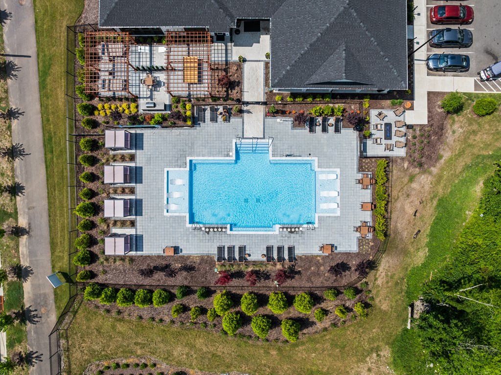 A large swimming pool surrounded by a grassy area and trees.