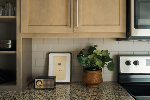 A kitchen counter with a plant, picture frame, and radio.