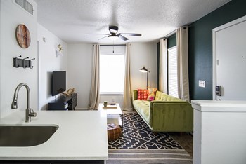 Living Room and Front Door - Photo Gallery 4
