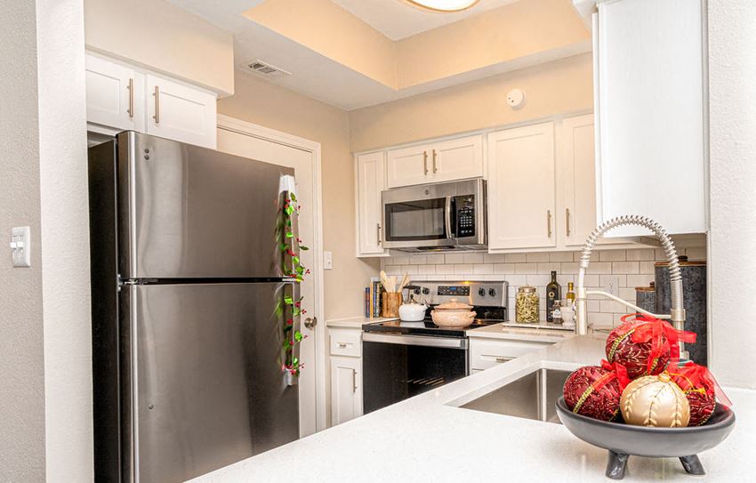 stainless steel appliances in webster apartments
