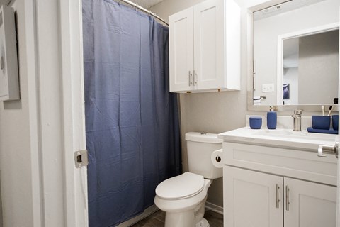 a bathroom with a blue shower curtain and a toilet