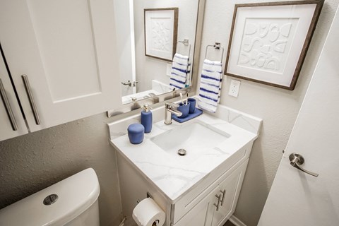 a bathroom with a sink and a mirror and a toilet