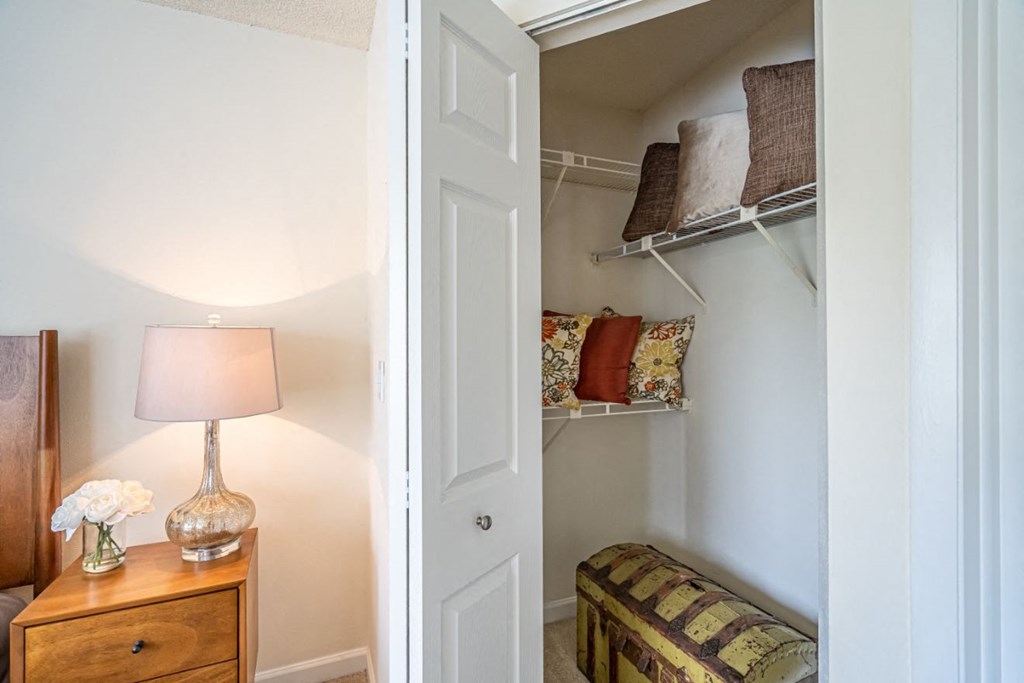 Model apartment home closet