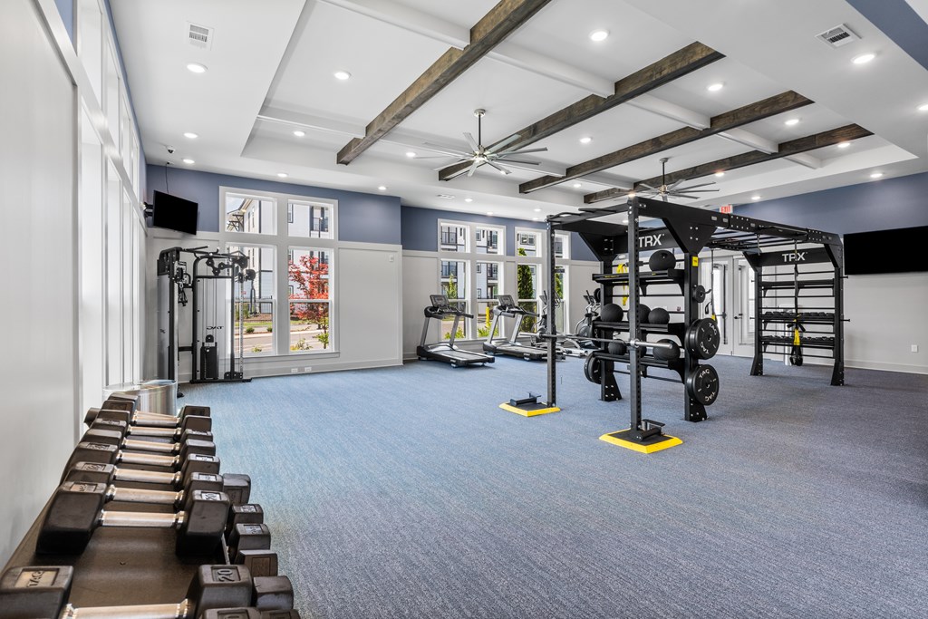 A gym with a variety of equipment including TRX.