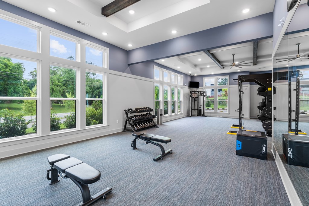 A gym with a bench, weights, and windows overlooking a garden.