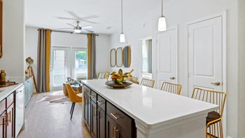 251 Carl Stern Dr 1-2 Beds Apartment for Rent - Photo Gallery 2
