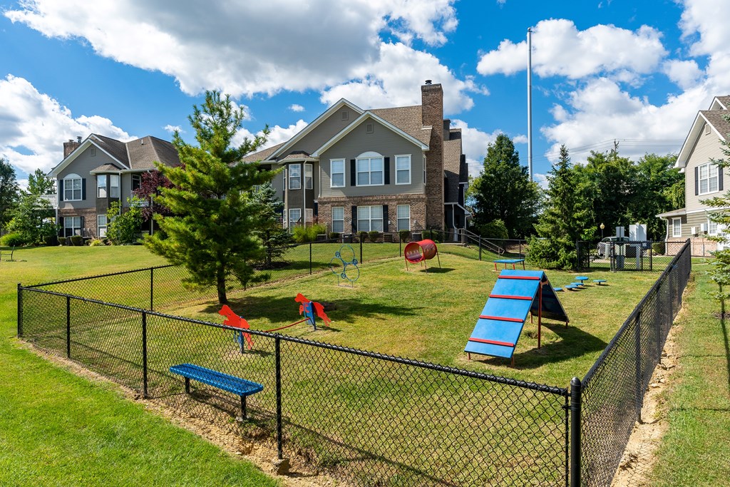 A playground with a blue slide and red and blue slides in the background.