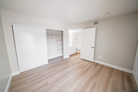 A room with a sliding door and a closet.