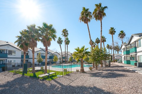 a swimming pool with palm trees in front of houses