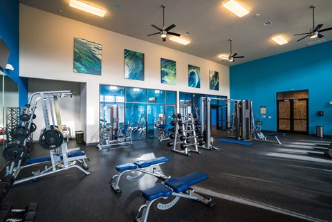 gym amenity