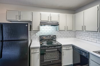 6134 4th Street NW Studio-2 Beds Apartment for Rent - Photo Gallery 8
