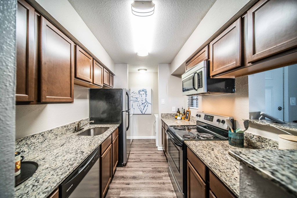 stainless steel appliances in luxury austin apartment