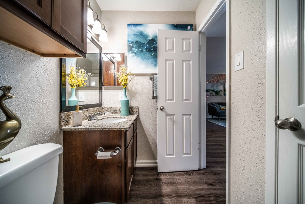 bathroom in luxury austin apartment