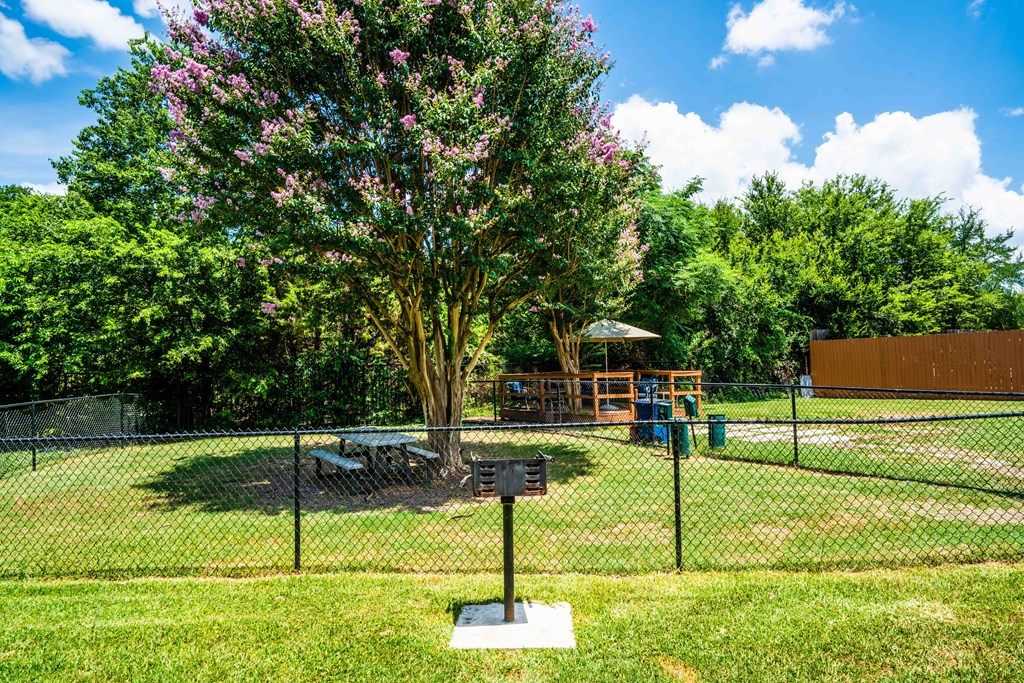 fenced pet park in luxury austin apartment