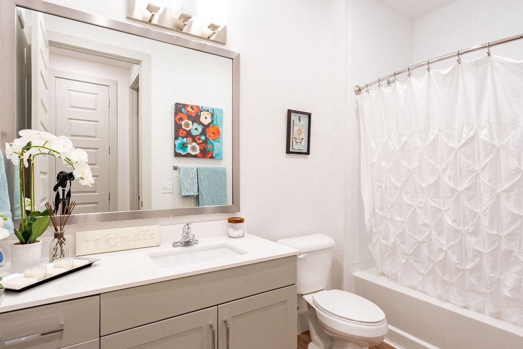 bathroom in modern midland texas apartment