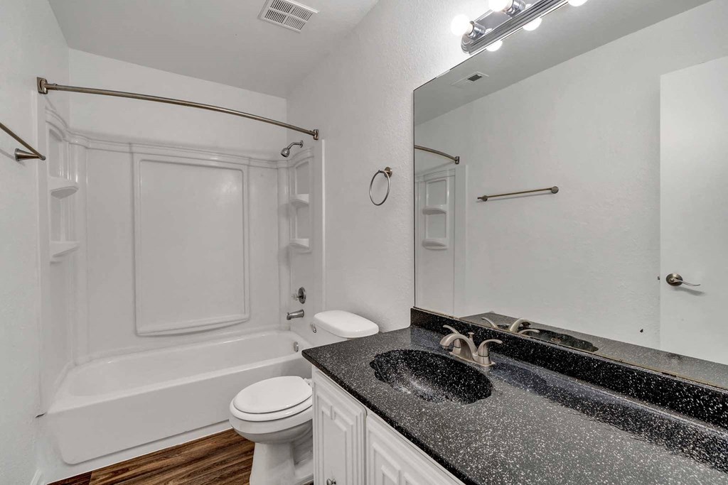 a bathroom with a sink and a toilet