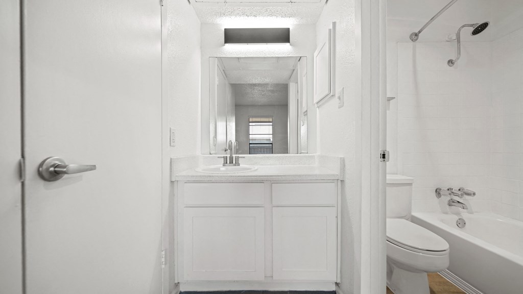 a bathroom with a sink and a toilet