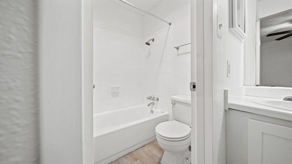 a bathroom with a toilet and a bathtub