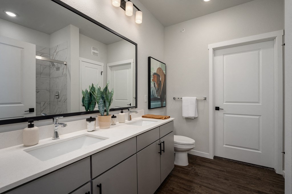 a bathroom with a large mirror and a sink and a toilet