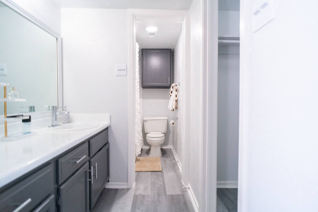 a bathroom with a toilet and a sink and a mirror