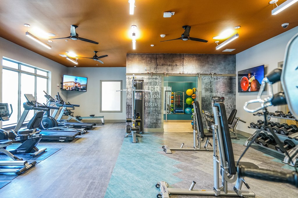 a gym with weights and cardio machines and a window