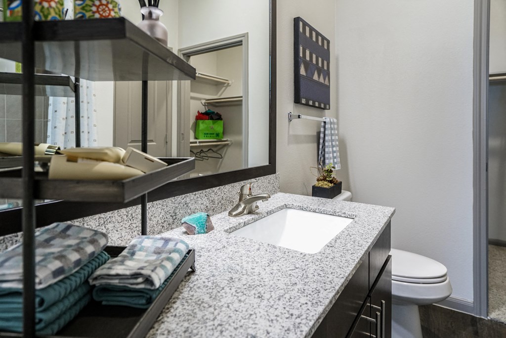 a bathroom with a sink and a toilet and a mirror