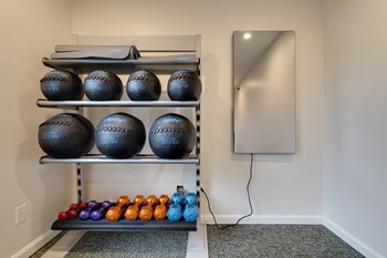 Exercise balls, fitness mirror, and free weights. - Photo Gallery 19