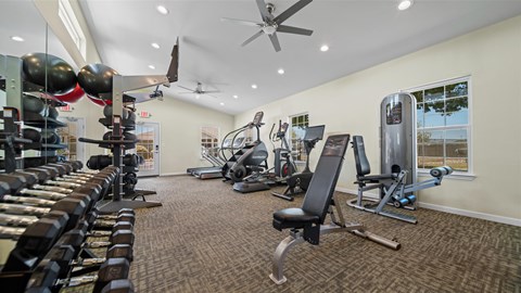 A well-equipped gym with a variety of exercise machines and weights.