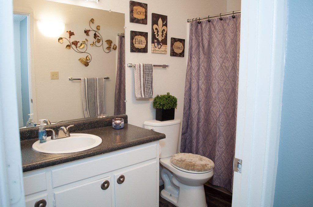 a bathroom with a sink and a toilet and a shower