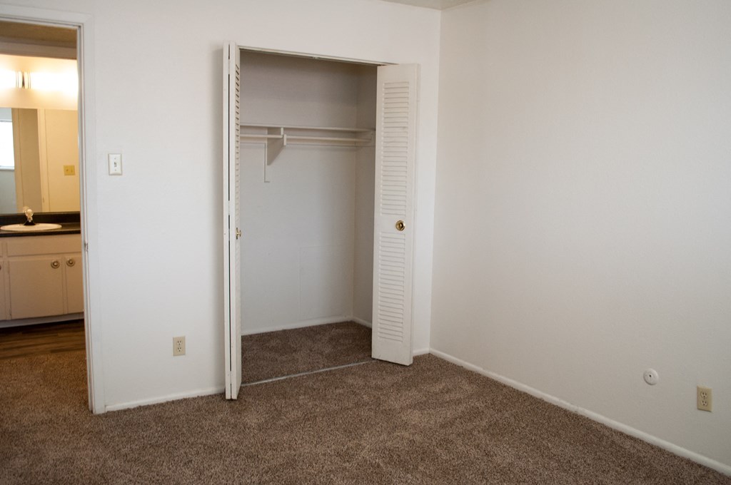 an empty bedroom with a closet and a carpeted floor