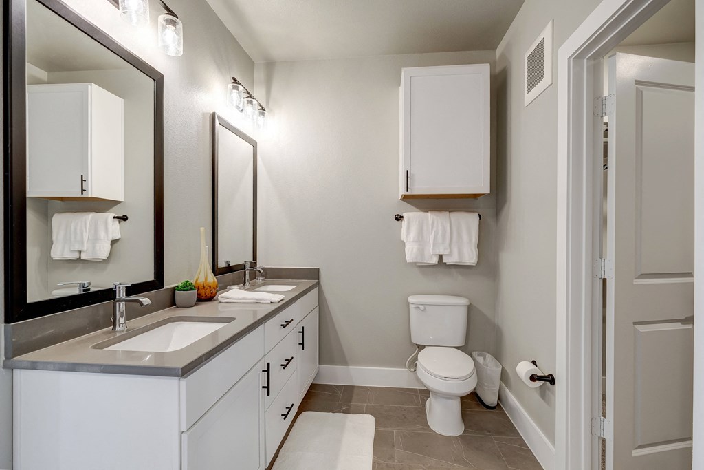 a bathroom with a sink and a toilet and a mirror
