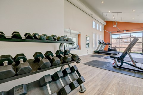 A gym with dumbbells and exercise equipment.