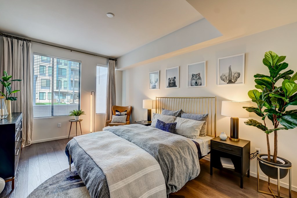 A bedroom with a large bed and a plant on the side table.