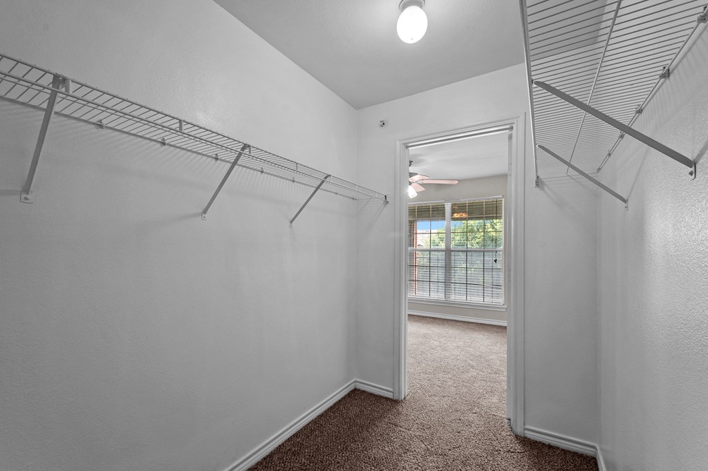 A white room with a carpeted floor and a closet with shelves.