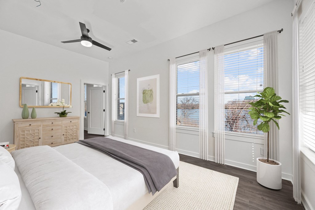 A bedroom with a bed, dresser, mirror, and a plant.