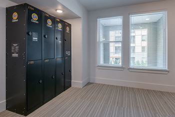 a lockers room with two windows and a carpeted floor
