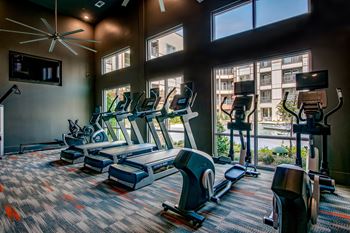 a row of treadmills and elliptical trainers in a gym with large windows