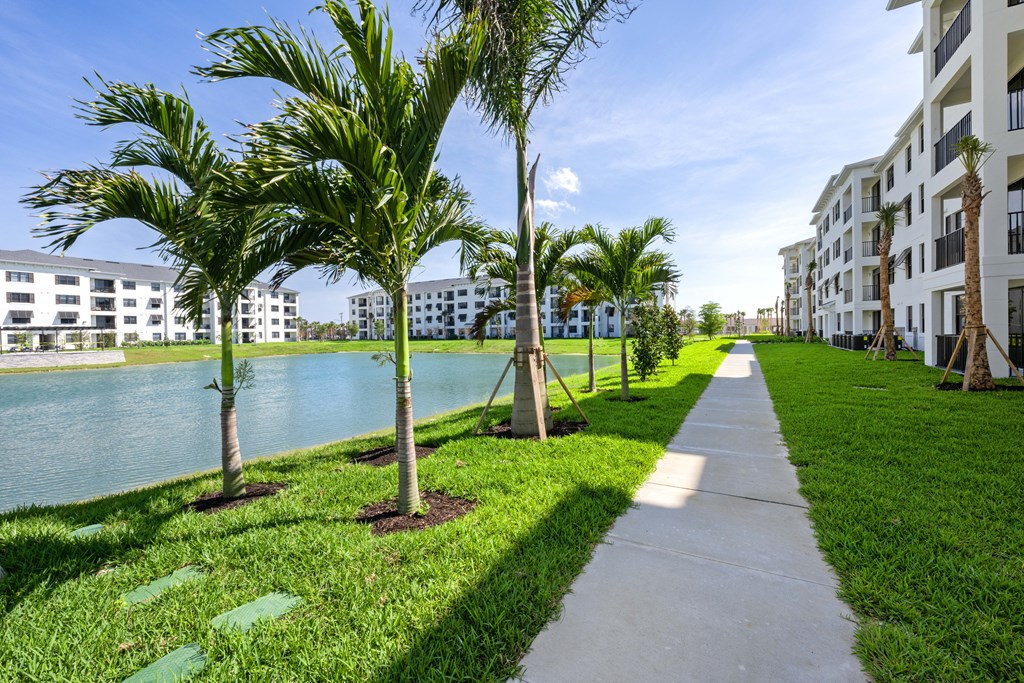 a pathway lined with palm trees next to a body of water with apartment buildings in the background