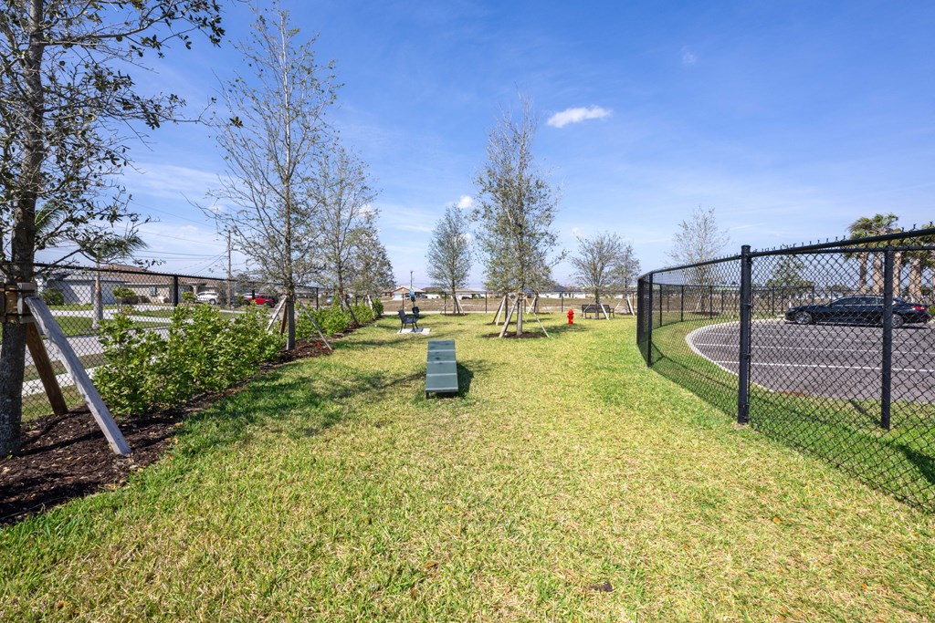 a grassy area with trees and a chain link fence
