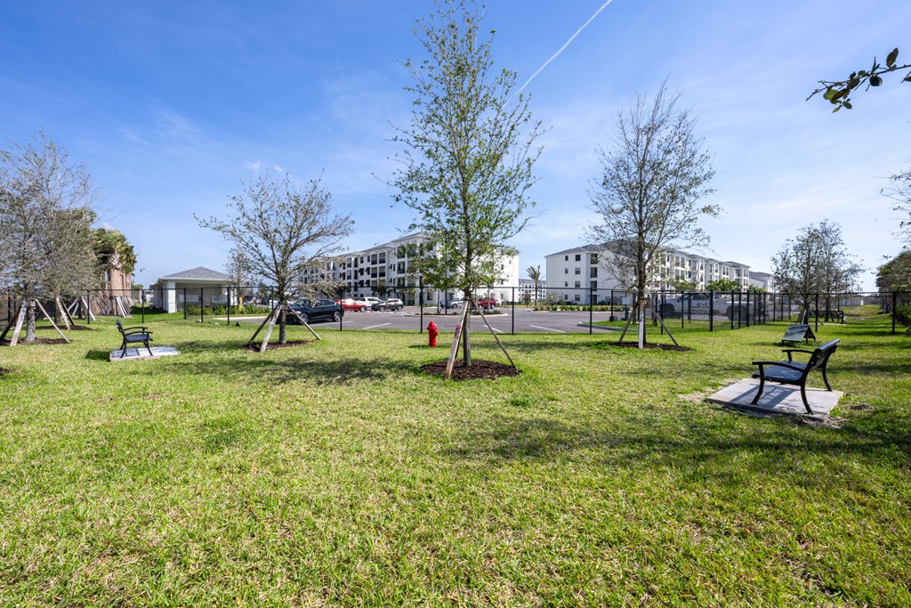 a park with trees and benches in front of a building