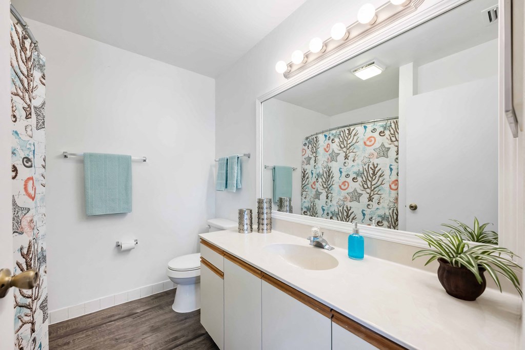 our apartments offer a bathroom with a shower