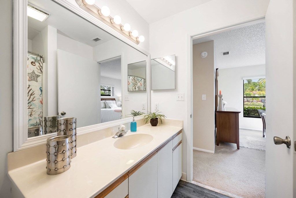 a bathroom with a sink and a mirror