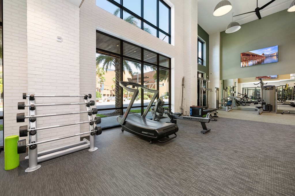the gym at theamia apartments in upper druid hills