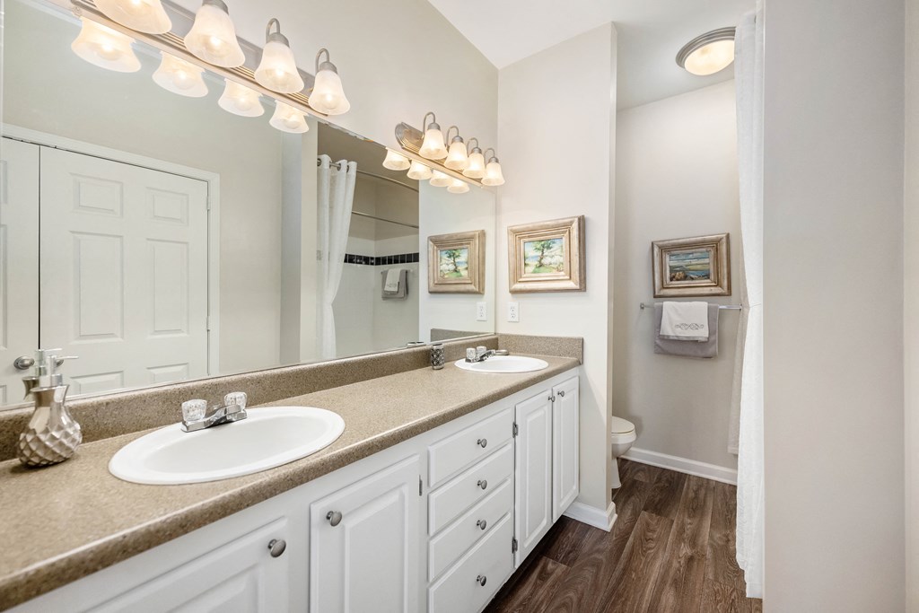 a bathroom with two sinks and a mirror
