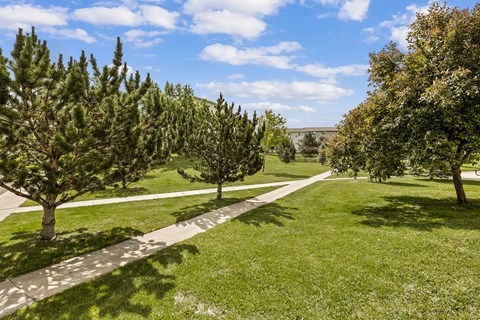 A pathway in a park with trees on both sides.