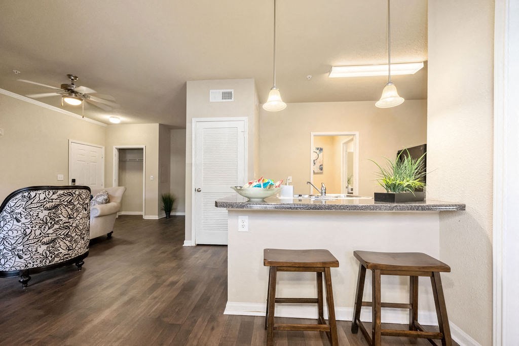 A kitchen with a bar stool and a plant.
