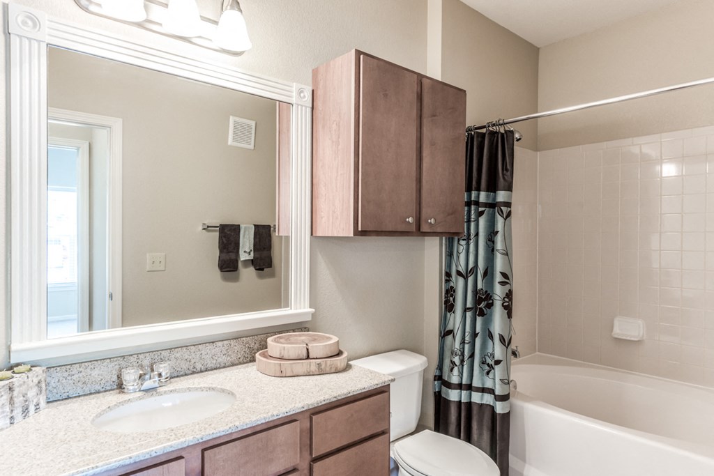 Restroom view and tub view as well